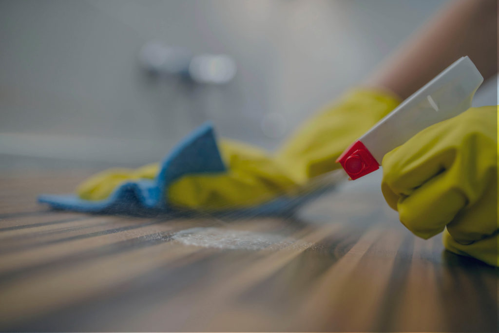 Green Cleaning Products