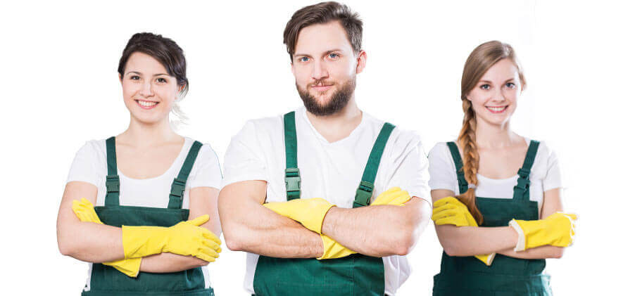 disinfection vs cleaning